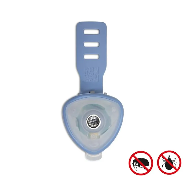 Max et molly ocean.webp