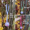 Votre texte de paragraphe - 1.webp