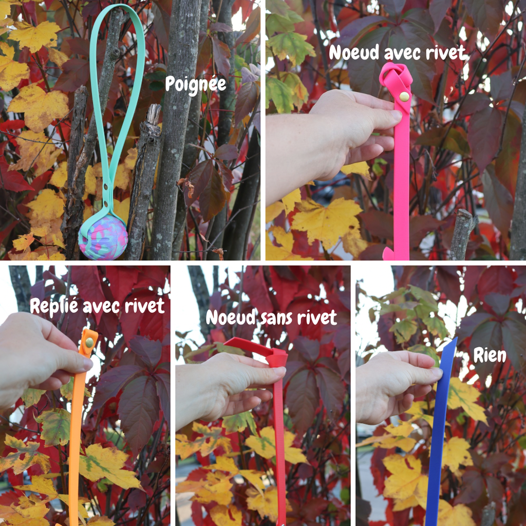 Votre texte de paragraphe - 2.webp