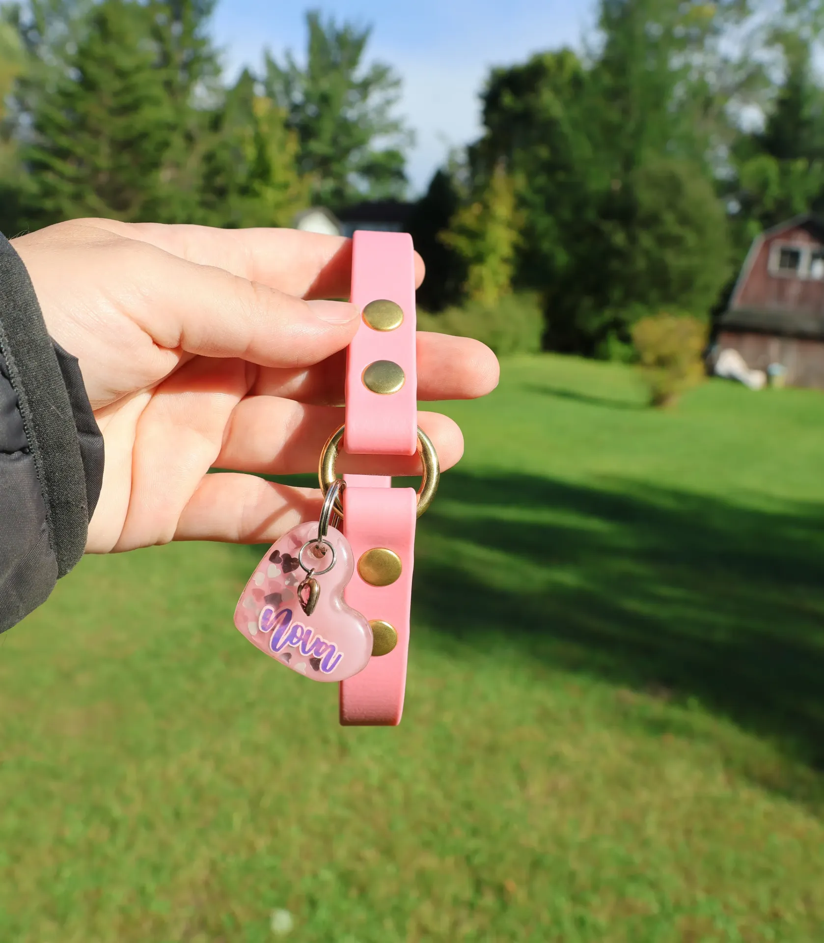 Porte-médaille en BioThane® (1/2 pouce, 7 pouces, Carte blanche)