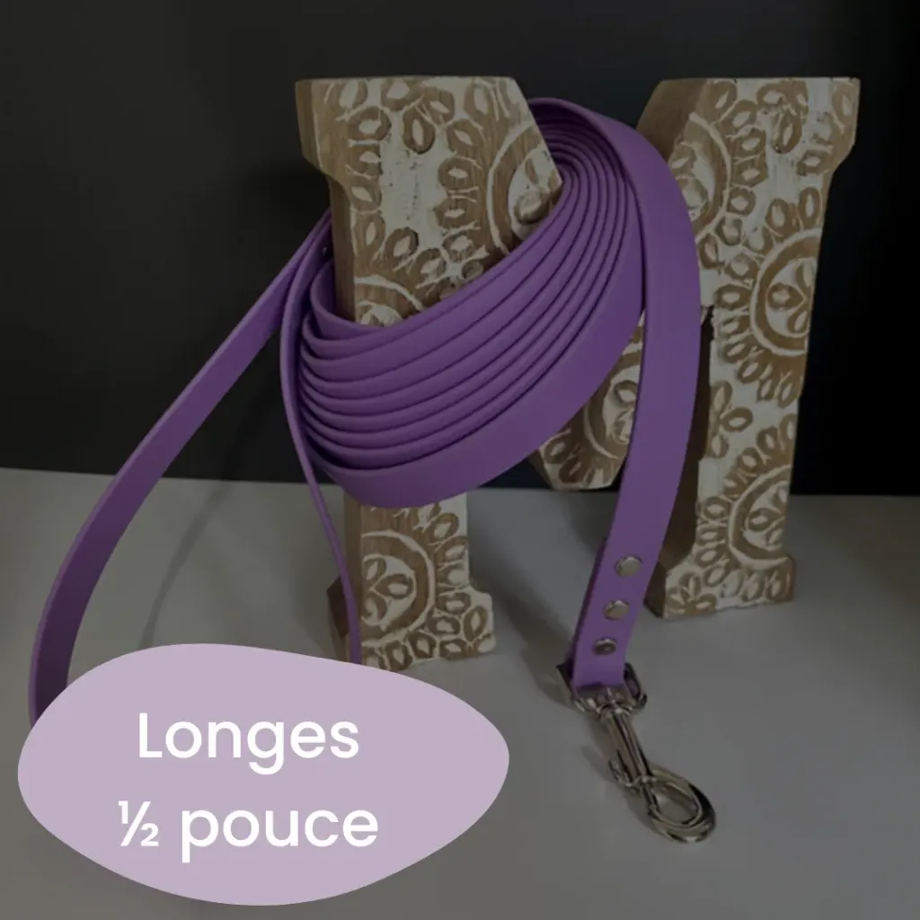 Longe en BioThane® (1/2 pouce) (10 pieds, Carte blanche, Pas de couleur secondaire, Non, pas d'ajout de l'option multi-fonctions, Non, pas d'ajout de poignée de circulation, Attache régulière noire)