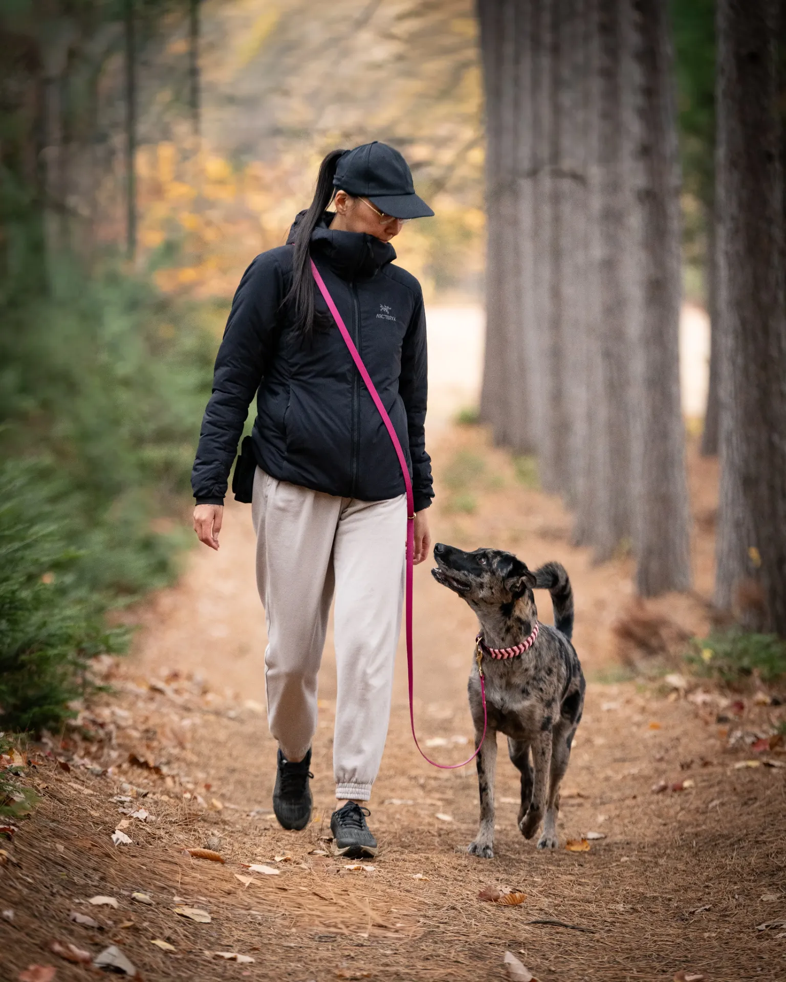 Laisse multifonctions - système à 2 anneaux