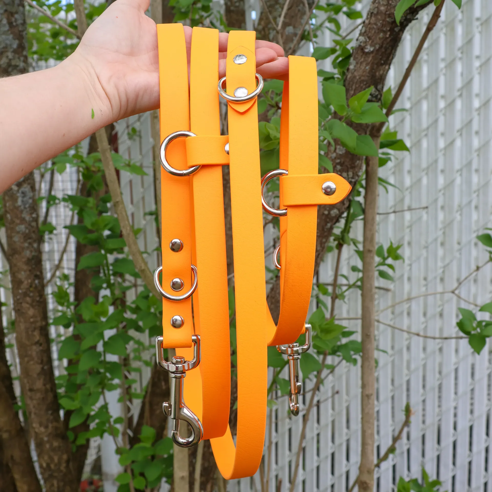 Laisse 1 couleur (1/2 pouce, 3 pieds, Carte blanche, Attache régulière noire, Non, pas d'ajout de poignée de circulation)