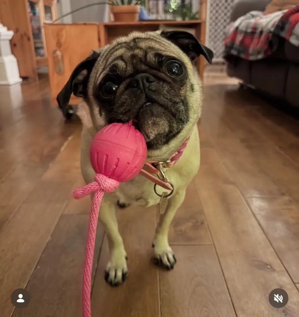 Mini balle TUG (Peu importe)