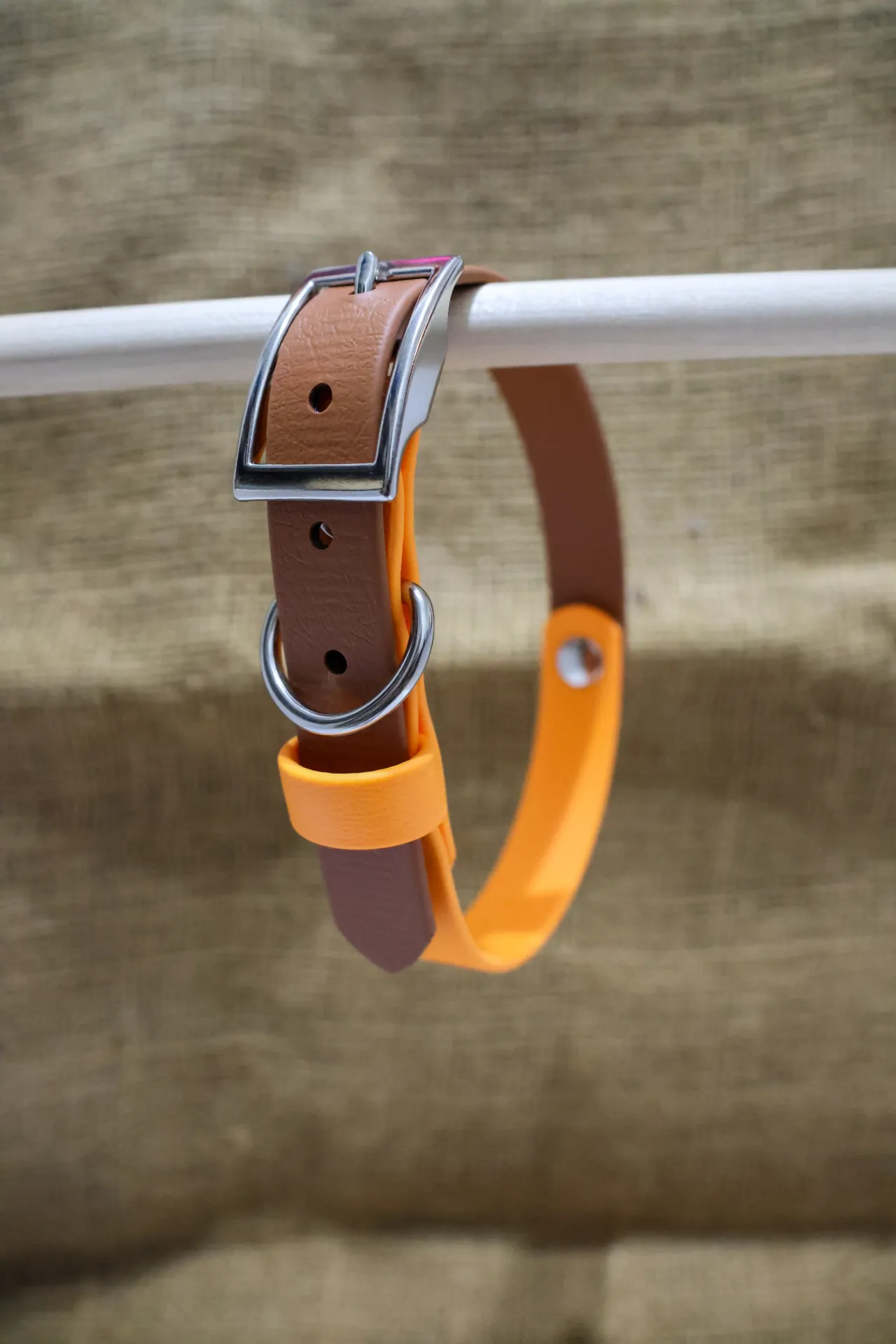 Collier en BioThane (2 couleurs) (1/2 pouce, 10 pouces, Carte blanche, Carte blanche, Brass)